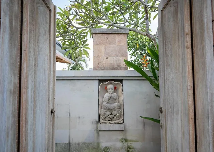 فيلة D'alas